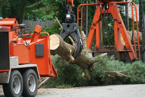 Leaf Removal in Goodview, MN